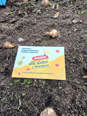 583700962_1427429886052488_2307876775713892743_n