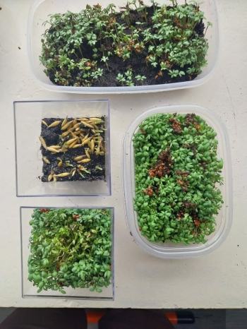 669038338_1272447357868923_120869909641699830_n